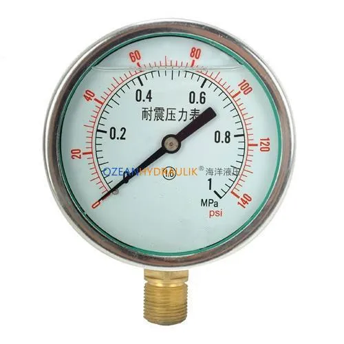 YN-Series Shock-Resistant Pressure Gauge