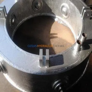 Electrode pressure ring